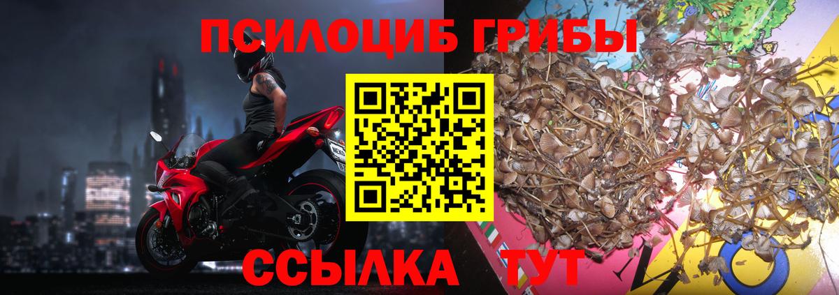 Галлюциногенные грибы Magic Shrooms Кропоткин